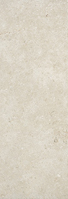 Arterra Large Format Pavers 16”x47”